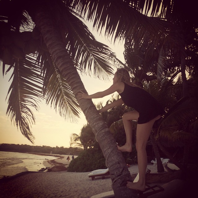 January 7: Climbing the palm tree like a cocoNUT #mexico
