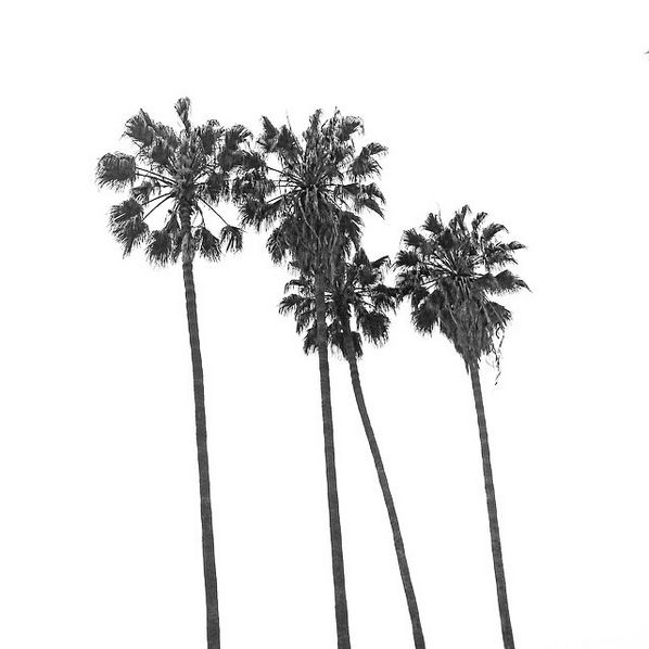 March 19: So long Palm trees...en route to Peach trees #LA--->GA
