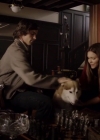 VampireDiariesWorld-dot-nl_TheLostWifeofRobertD01469.jpg