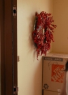 VampireDiariesWorld-dot-nl_OperationChristmasDrop2047.jpg