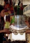 VampireDiariesWorld-dot-org_PresumedDeadinParadise0763.jpg