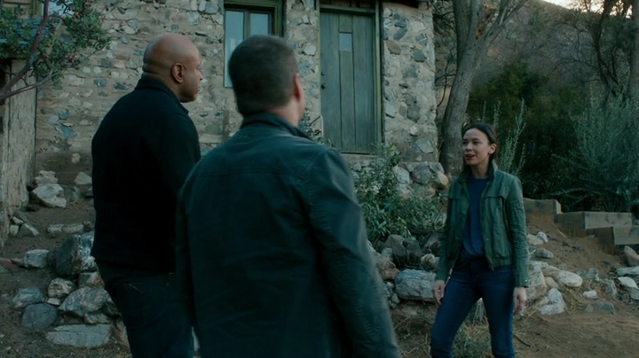 VampireDiariesWorld-dot-NCISLA9x15-0788.jpg