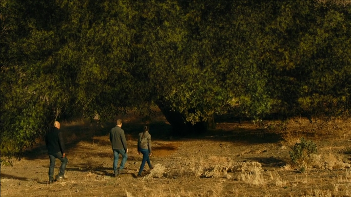 VampireDiariesWorld-dot-NCISLA9x15-2144.jpg