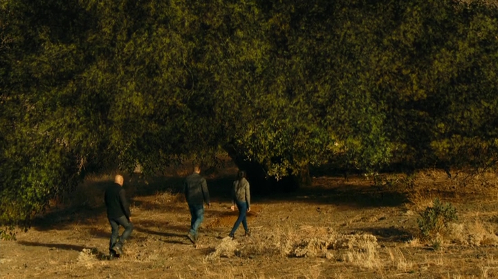 VampireDiariesWorld-dot-NCISLA9x15-2148.jpg