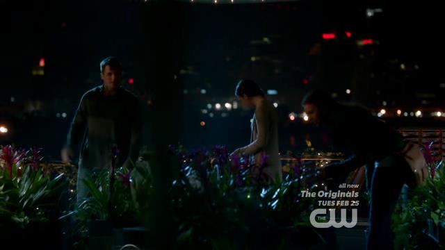 VampireDiariesWorld-dot-org_StarCrossedS01E01-1112.jpg