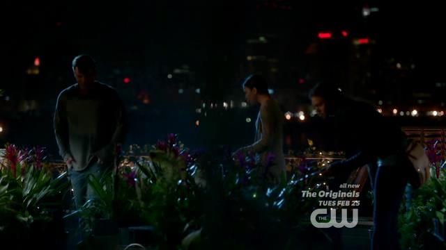 VampireDiariesWorld-dot-org_StarCrossedS01E01-1113.jpg