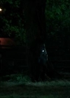 VampireDiariesWorld-dot-org_Cult1x041764.jpg