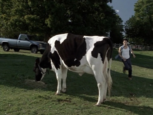 VampireDiariesWorld-dot-nl_CowBelles0689.jpg
