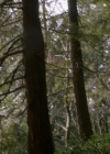 VampireDiariesWorld-dot-org_Supernatural9x20-2051.jpg