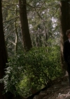 VampireDiariesWorld-dot-org_Supernatural9x20-2053.jpg