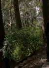 VampireDiariesWorld-dot-org_Supernatural9x20-2054.jpg