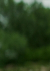 VampireDiariesWorld-dot-nl-SickGirl3553.jpg