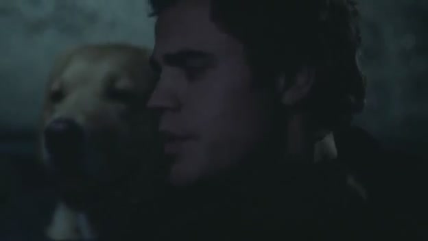 VampireDiariesWorld-dot-org-FallenPart2-4484.jpg