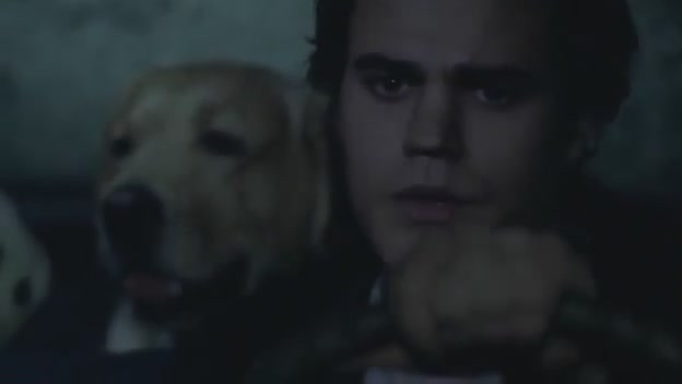 VampireDiariesWorld-dot-org-FallenPart2-4519.jpg