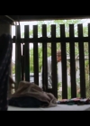 VampireDiariesWorld-BoySwallowsUniverse1x07-0637.jpg