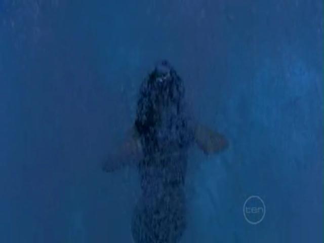 VampireDiariesWorld-dot-org_H2OJustAddWater-s01e03--0859.jpg VampireDiariesWorld-dot-org_H2OJustAddWater-s01e03--0859.jpg