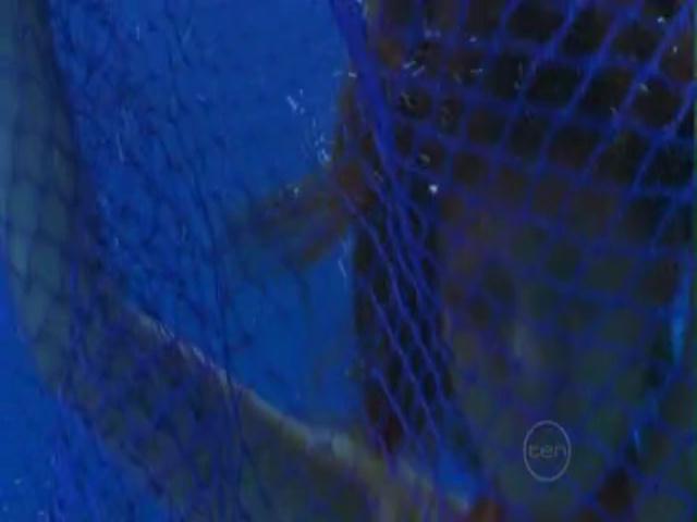 VampireDiariesWorld-dot-org_H2OJustAddWater-s01e03--0987.jpg