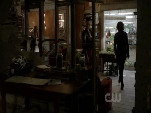 VampireDiariesWorld-dot-org_TheSecretCircle-S01E01-0820.jpg