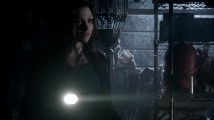 VampireDiariesWorld-dot-org_TheSecretCircle-S01E17-0647.jpg