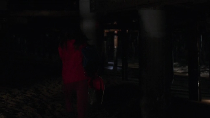 VampireDiariesWorld-dot-org_Stalker1x14-1122.jpg