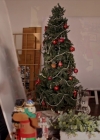 VampireDiariesWorld-dot-nl_TheChristmasTemp4120.jpg