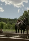 VampireDiariesWorld-dot-org_HellOnWheels-S04E06-2445.jpg