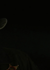 VampireDiariesWorld-dot-nl_RoswellNewMexico3x04-2028.jpg