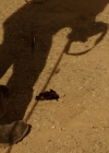 Filename=VampireDiariesWorld-dot-nl_RoswellNewMexico4x09-1371.jpg
Filesize=505KiB
Dimensions=1280x720
Date added=Jul 07, 2023 VampireDiariesWorld-dot-nl_RoswellNewMexico4x09-1371.jpg