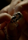 VampireDiariesWorld-dot-nl_Legacies1x15IllTellYouAStory02409.jpg