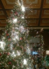 VampireDiariesWorld-dot-nl_Legacies2x08ThisChristmasIsSuprisinglyViolent0924.jpg