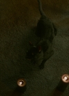 VampireDiariesWorld-dot-nl_Legacies2x09ICouldntHaveDoneThisWithoutYou0738.jpg