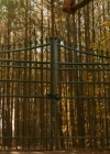 VampireDiariesWorld-dot-nl_Legacies2x11WhatCupidProblem0137.jpg