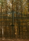 VampireDiariesWorld-dot-nl_Legacies2x11WhatCupidProblem0140.jpg