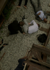 VampireDiariesWorld-dot-nl_Legacies4x04SeeYouOnTheOtherSide0769.jpg