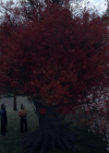 VampireDiariesWorld-dot-nl_Legacies4x07SomeplaceFarAwayfromAllThisViolence0150.jpg