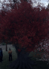 VampireDiariesWorld-dot-nl_Legacies4x07SomeplaceFarAwayfromAllThisViolence0151.jpg