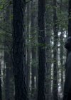 VampireDiariesWorld-dot-nl_Legacies4x07SomeplaceFarAwayfromAllThisViolence0239.jpg