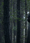 VampireDiariesWorld-dot-nl_Legacies4x07SomeplaceFarAwayfromAllThisViolence0248.jpg