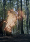 VampireDiariesWorld-dot-nl_Legacies4x07SomeplaceFarAwayfromAllThisViolence1886.jpg