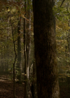 VampireDiariesWorld-dot-nl_Legacies4x09ICantBetheOnetoStopYou0764.jpg