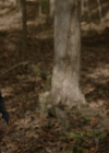 VampireDiariesWorld-dot-nl_Legacies4x09ICantBetheOnetoStopYou0786.jpg