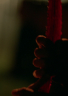 VampireDiariesWorld-dot-nl_Legacies4x13WasThisTheMonsterYouSaw1514.jpg