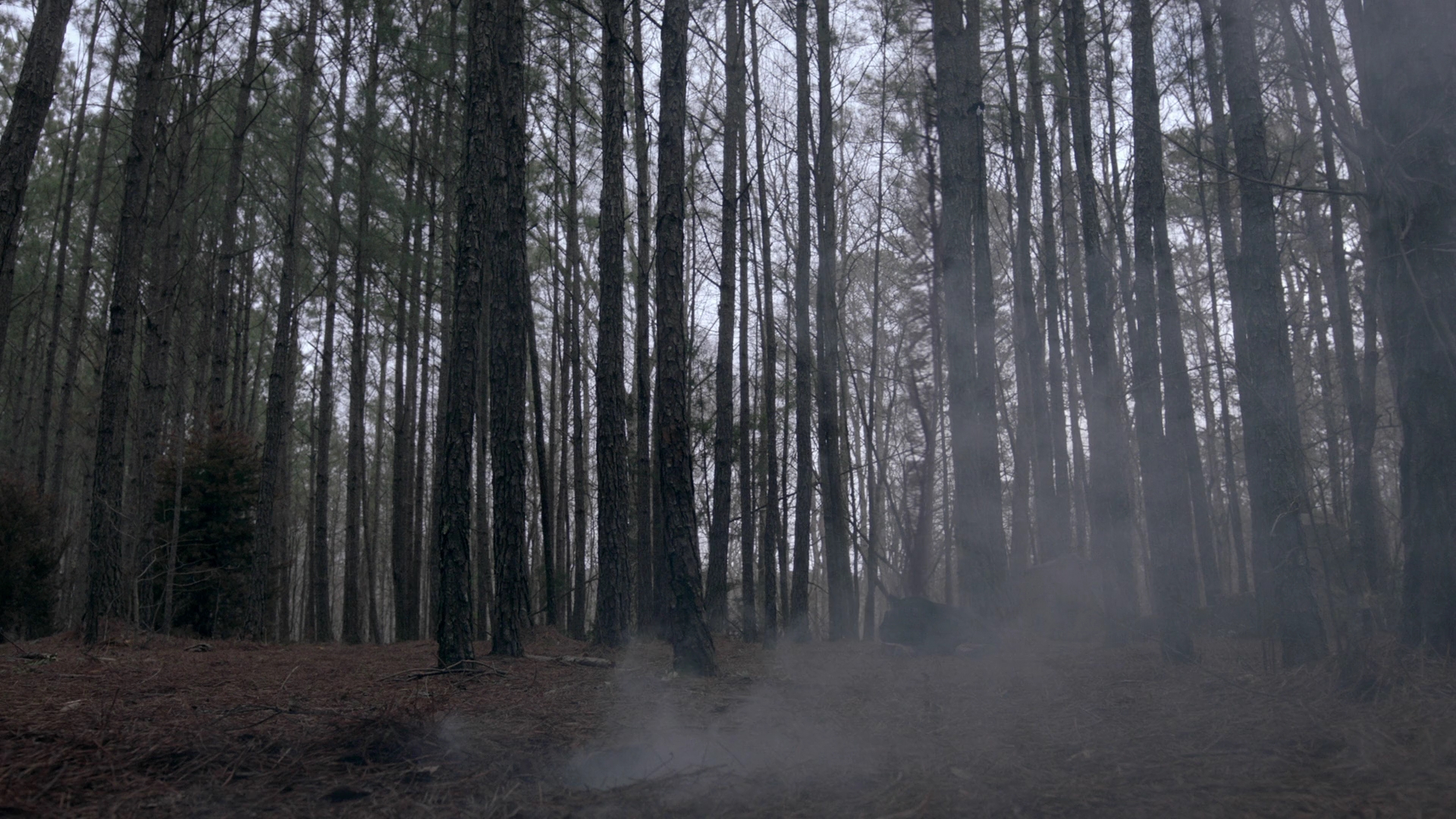 VampireDiariesWorld-dot-nl_Legacies4x17IntoTheWoods1493.jpg