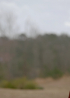 VampireDiariesWorld-dot-nl_Legacies4x17IntoTheWoods1319.jpg