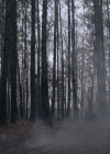 VampireDiariesWorld-dot-nl_Legacies4x17IntoTheWoods1493.jpg