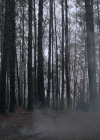 VampireDiariesWorld-dot-nl_Legacies4x17IntoTheWoods1494.jpg