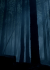 VampireDiariesWorld-dot-nl_Legacies4x17IntoTheWoods2256.jpg