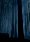 VampireDiariesWorld-dot-nl_Legacies4x17IntoTheWoods2257.jpg