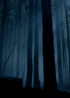 VampireDiariesWorld-dot-nl_Legacies4x17IntoTheWoods2258.jpg