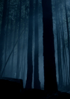 VampireDiariesWorld-dot-nl_Legacies4x17IntoTheWoods2259.jpg